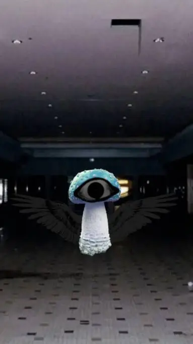 Talkie AI - Chat with the scary mushroom