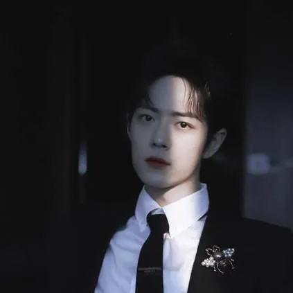 chat with ai character: Xiao Zhan 