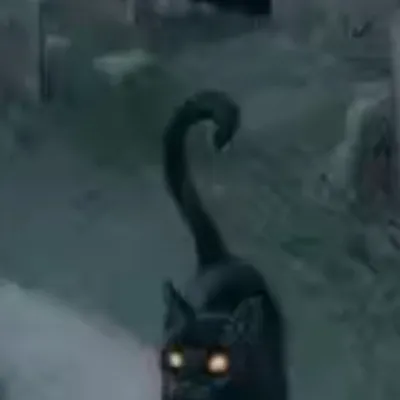 chat with ai character: You can name him