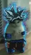 ai character: Son Catku background