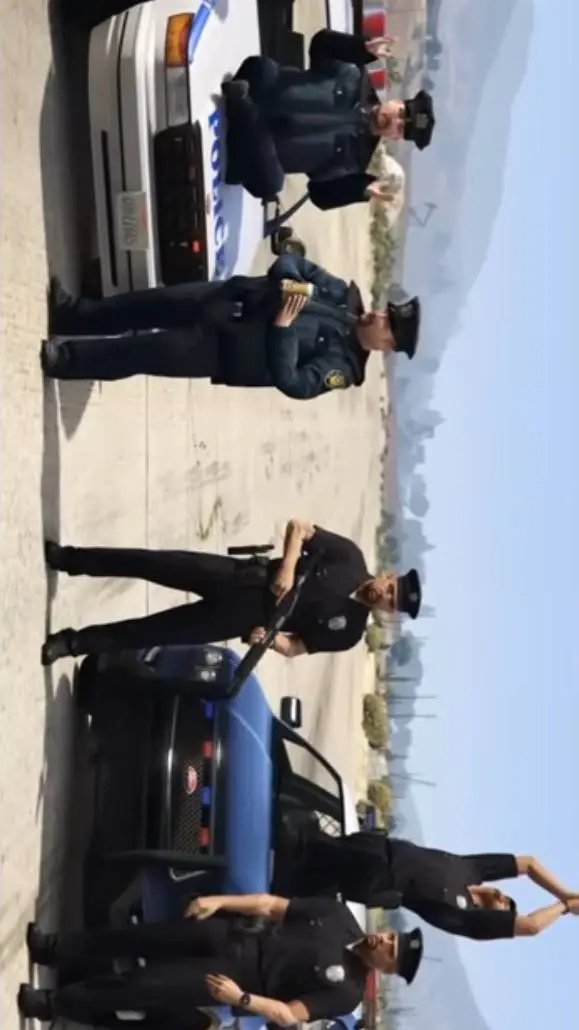 ai character: policja z gta background