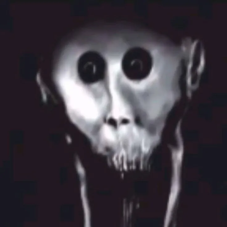 chat with ai character: Shwindow