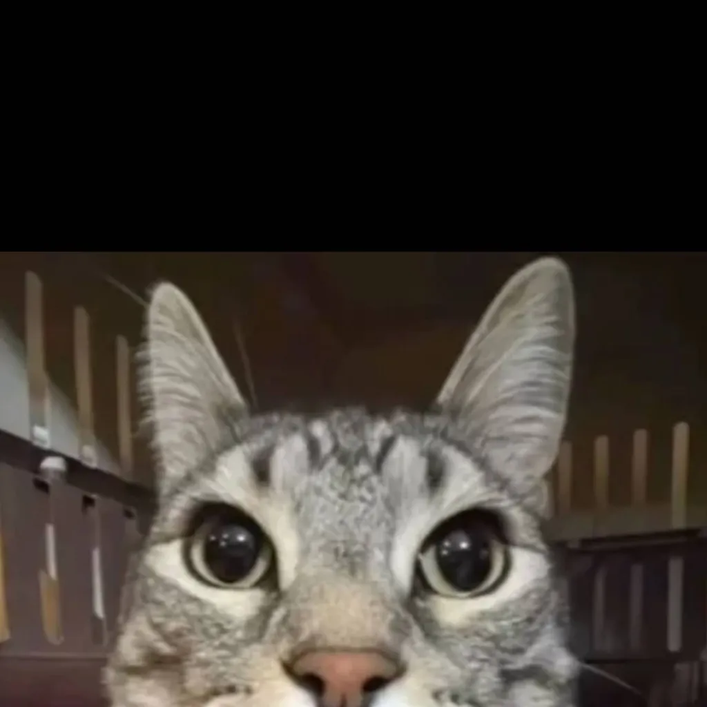 chat with ai character: mobile..