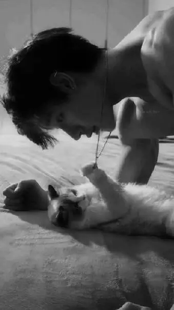 ai character: Collin background