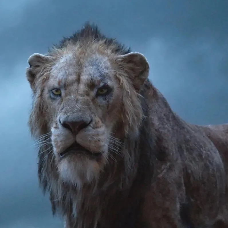 chat with ai character: Scar the lion 