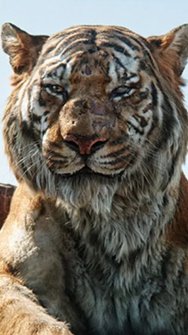 ai character: Shere Khan  background
