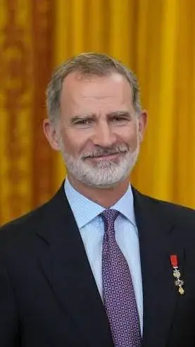 ai character: Felipe VI 🇳🇮👑 background