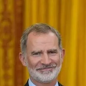 chat with ai character: Felipe VI 🇳🇮👑