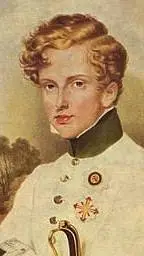 Talkie AI - Chat with Napoleón II 🇳🇮👑