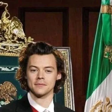 chat with ai character: Harry Styles 