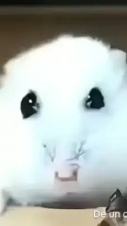 ai character: hamster  background