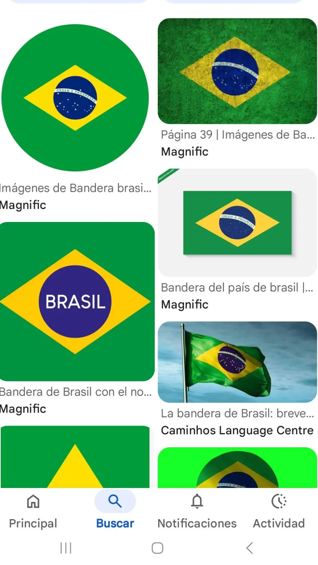 ai character: brasil raro background