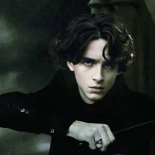 chat with ai character: Regulus Black 