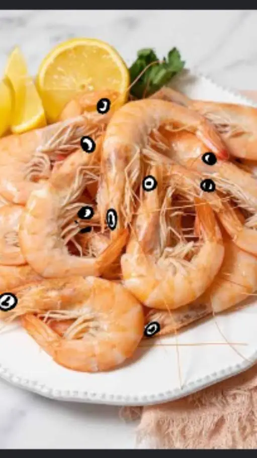 ai character: shrimplings!!! background