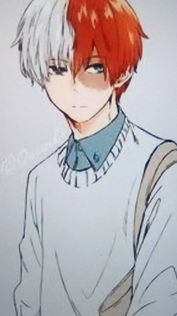 ai character: * SHOTO TODOROKI * background