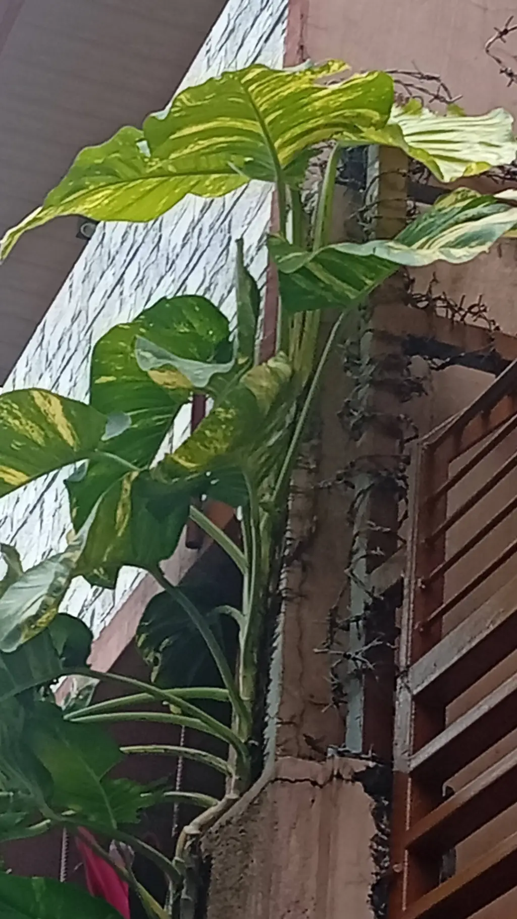 ai character: Your plant  background