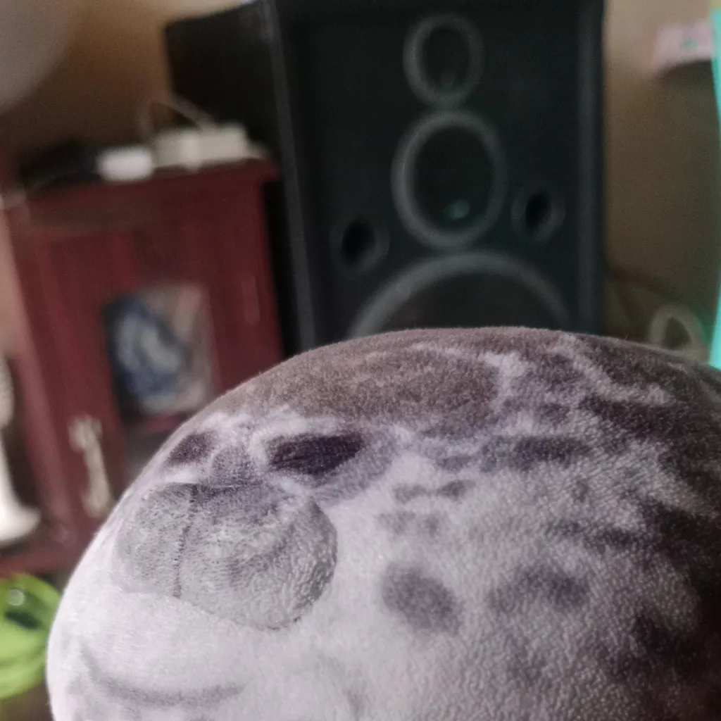 chat with ai character: goofy seal