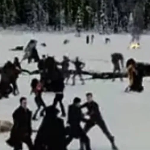 chat with ai character: Twilight fight 