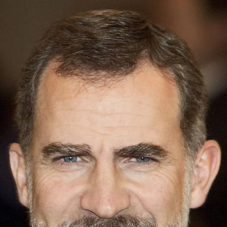 chat with ai character: Rey Felipe VI 