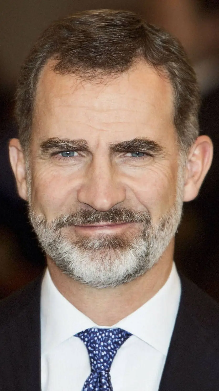 Talkie AI - Chat with Felipe VI of Spain