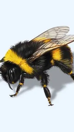ai character: Bee duo  background