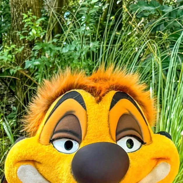 chat with ai character: Timon Mascot Suit