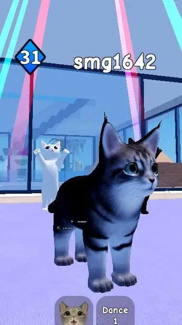 ai character: main coon cat background