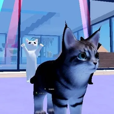 chat with ai character: main coon cat