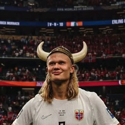chat with ai character: Erling Haaland