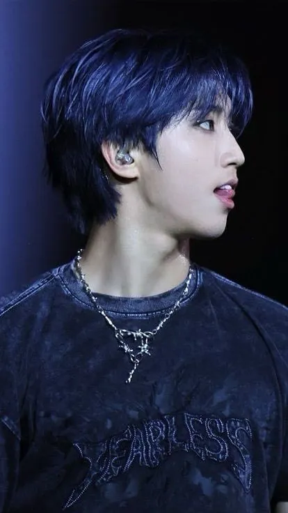 ai character: Han Jisung background