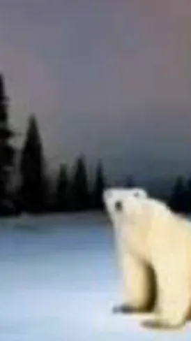 ai character: 2026 Bear background