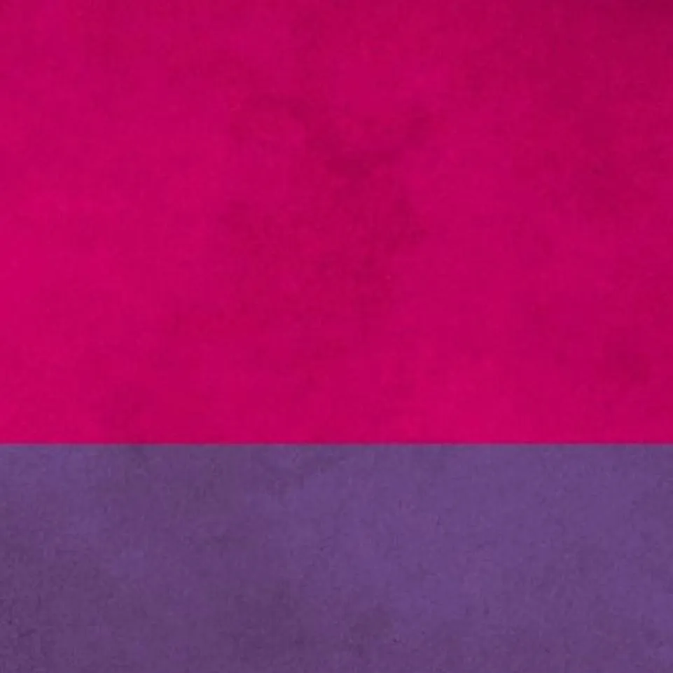 chat with ai character: bisexuali person?