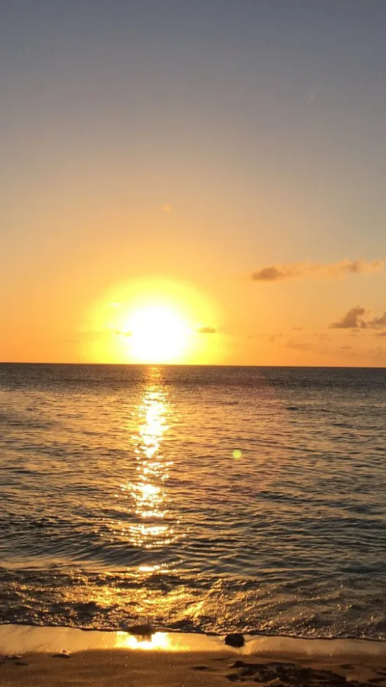 ai character: ✩Outerbanks✩ background