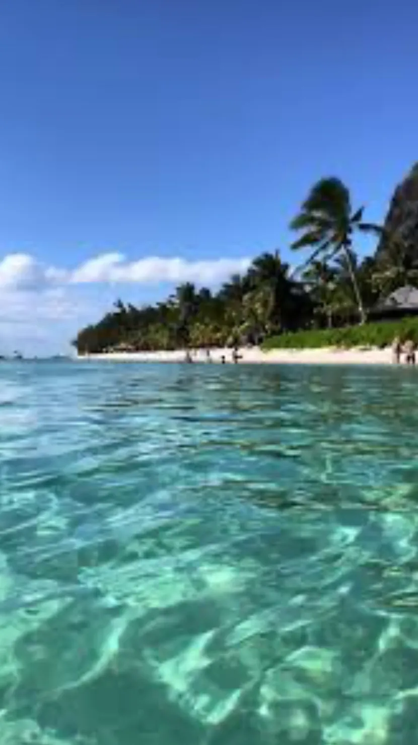 ai character: Moana 🏝⛵ background