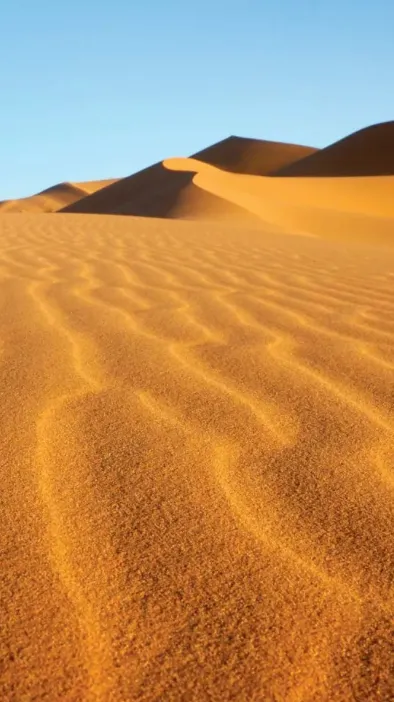 ai character: Sahara  background