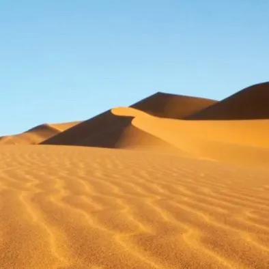 chat with ai character: Sahara 