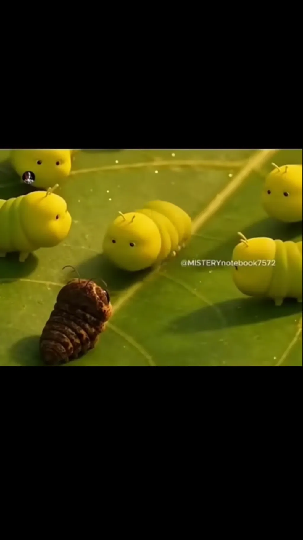 Talkie AI - Chat with Caterpillars
