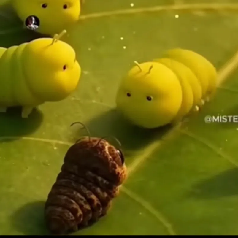 chat with ai character: Caterpillars