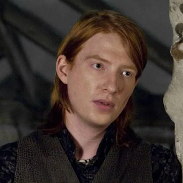chat with ai character: Bill Weasley