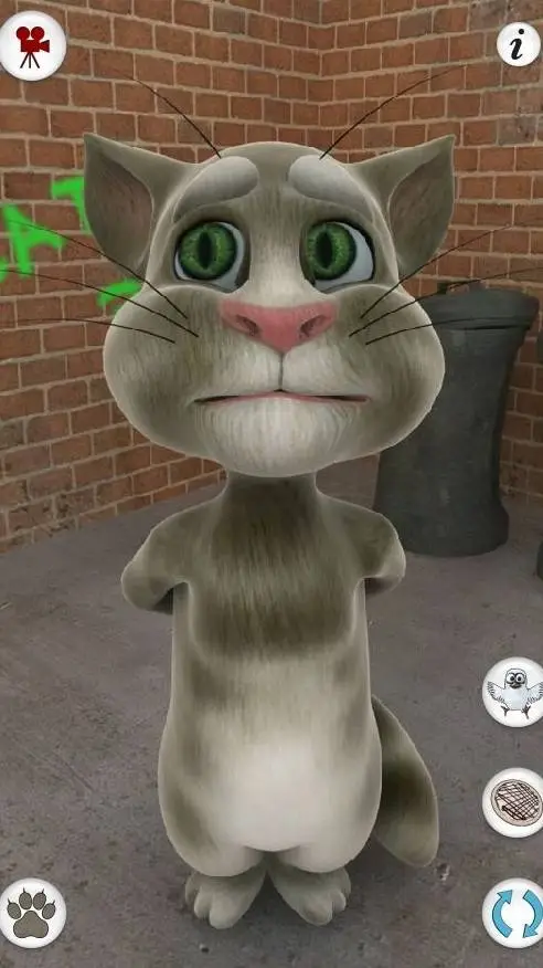 Talkie AI - Chat with TALKING TOM CAT 