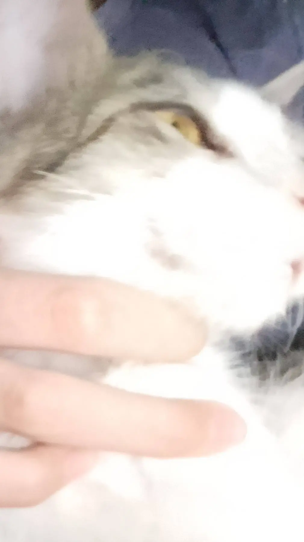 Talkie AI - Chat with LUNAaAaaaaaaa