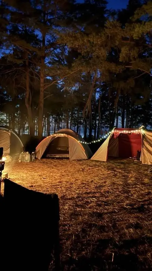 ai character: 🥾 Camping 🏕️ background