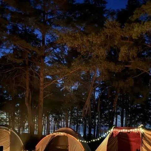 chat with ai character: 🥾 Camping 🏕️