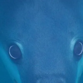 chat with ai character: Leopard seal