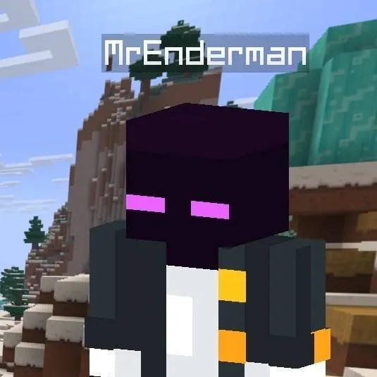 chat with ai character: MrEnderman