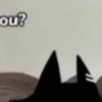 chat with ai character: Miss Circle Cat