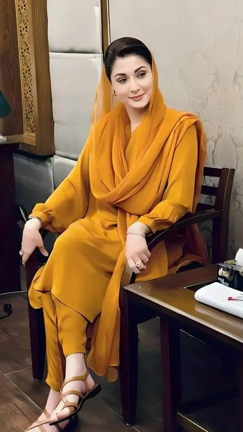 ai character: Maryam Nawaz background