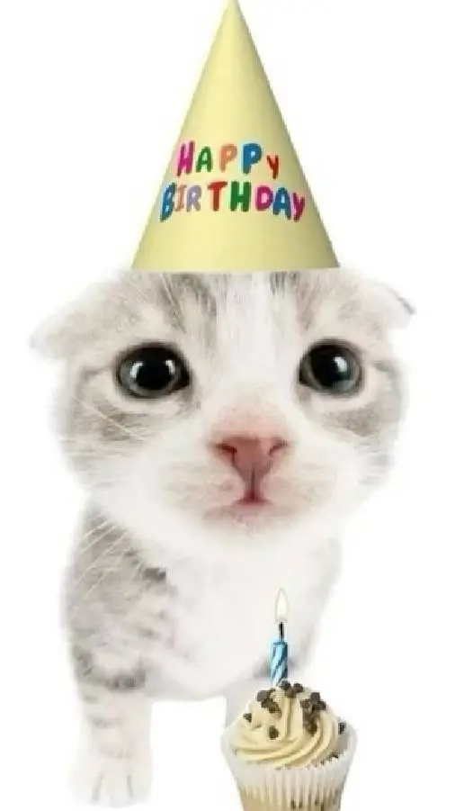 ai character: RENDOUGHNUT background