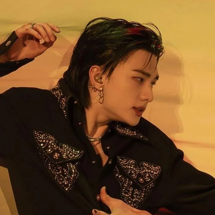 chat with ai character: hwang hyunjin