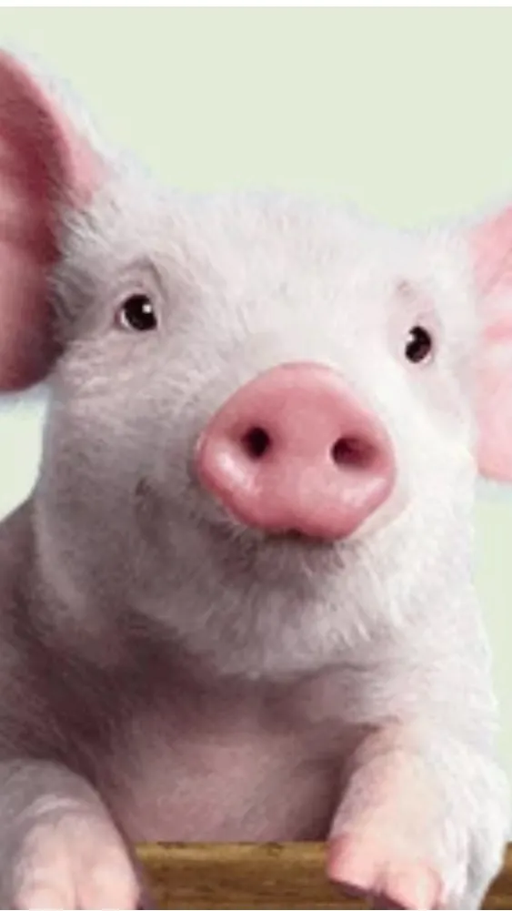 ai character: Wilbur background
